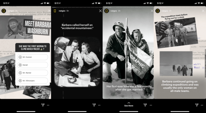 This series of four similar frames from National Geographic follows Instagram Stories best practices with its consistent look and feel.