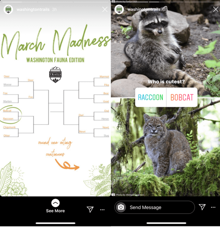 Washington Trails Association uses one of our favorite Instagram Stories best practices in this interactive quiz about cutest fauna